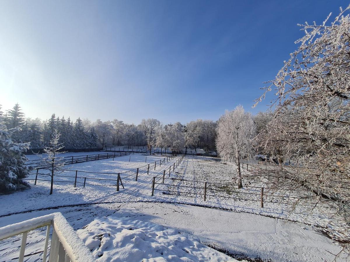 Repos Rouge-Plaisir Au Milieu Des Chevaux Kembs Exterior photo