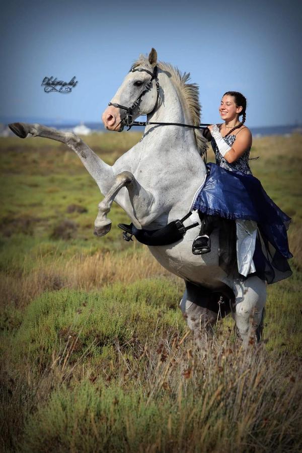 Repos Rouge-Plaisir Au Milieu Des Chevaux Kembs Exterior photo